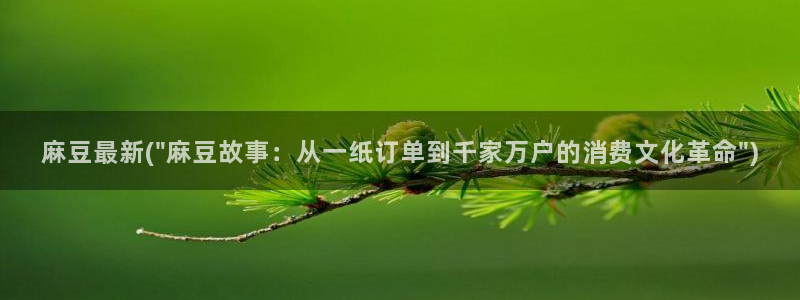 麻豆国色专区：麻豆最新(\