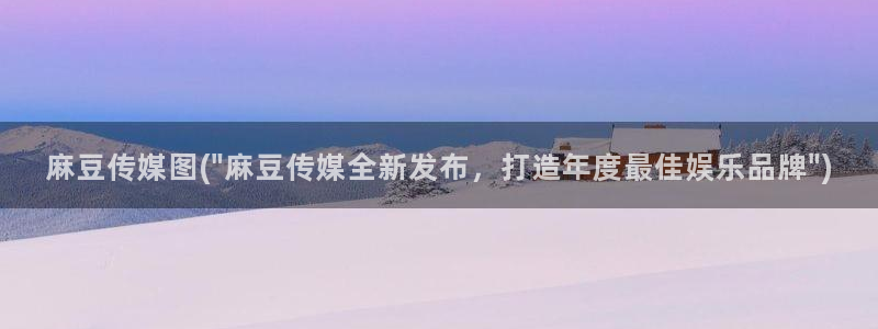 日韩中文麻豆专区：麻豆传媒图(\