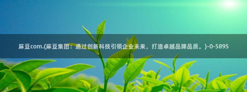 麻豆国产av专区