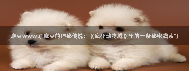 麻豆国产专区：麻豆www.(\