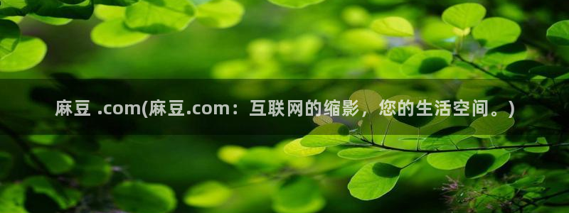 91麻豆专区：麻豆 .com(麻豆.com：互联网的缩影，您的生活空间。)