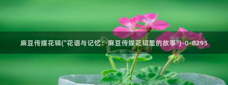 麻豆专区：麻豆传媒花辑(\