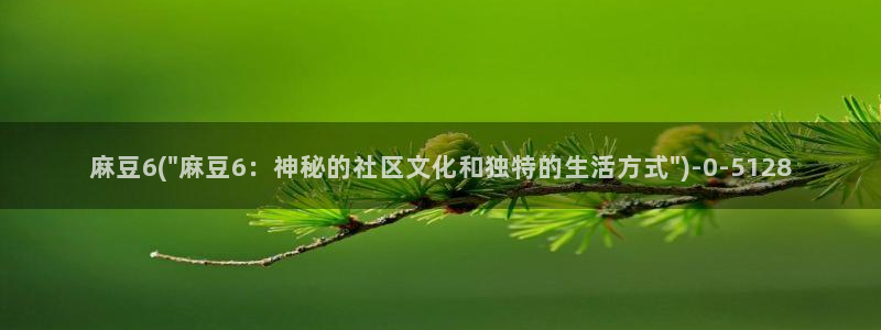 麻豆区：麻豆6(\