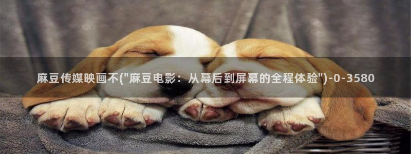 麻豆专区：麻豆传媒映画不(\