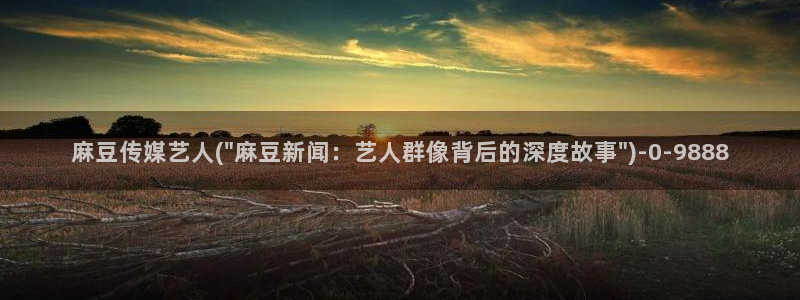 麻豆专区一区：麻豆传媒艺人(\